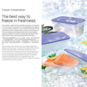 Freezer Food Containers